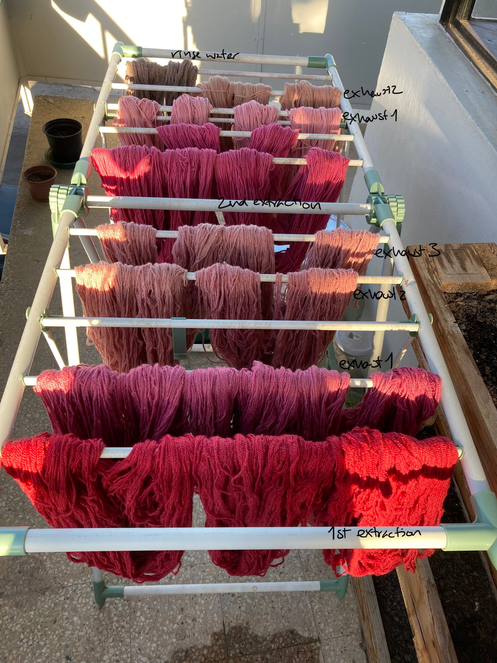 Cochineal and Rain by Sara Meinecke