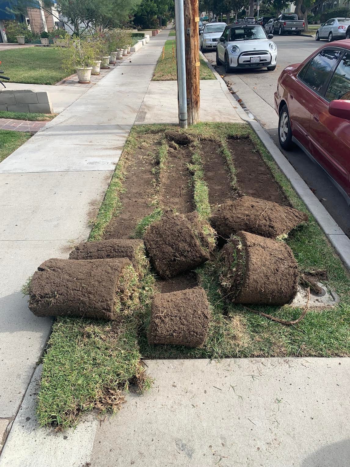 How to compost sod by cass marketos The Rot