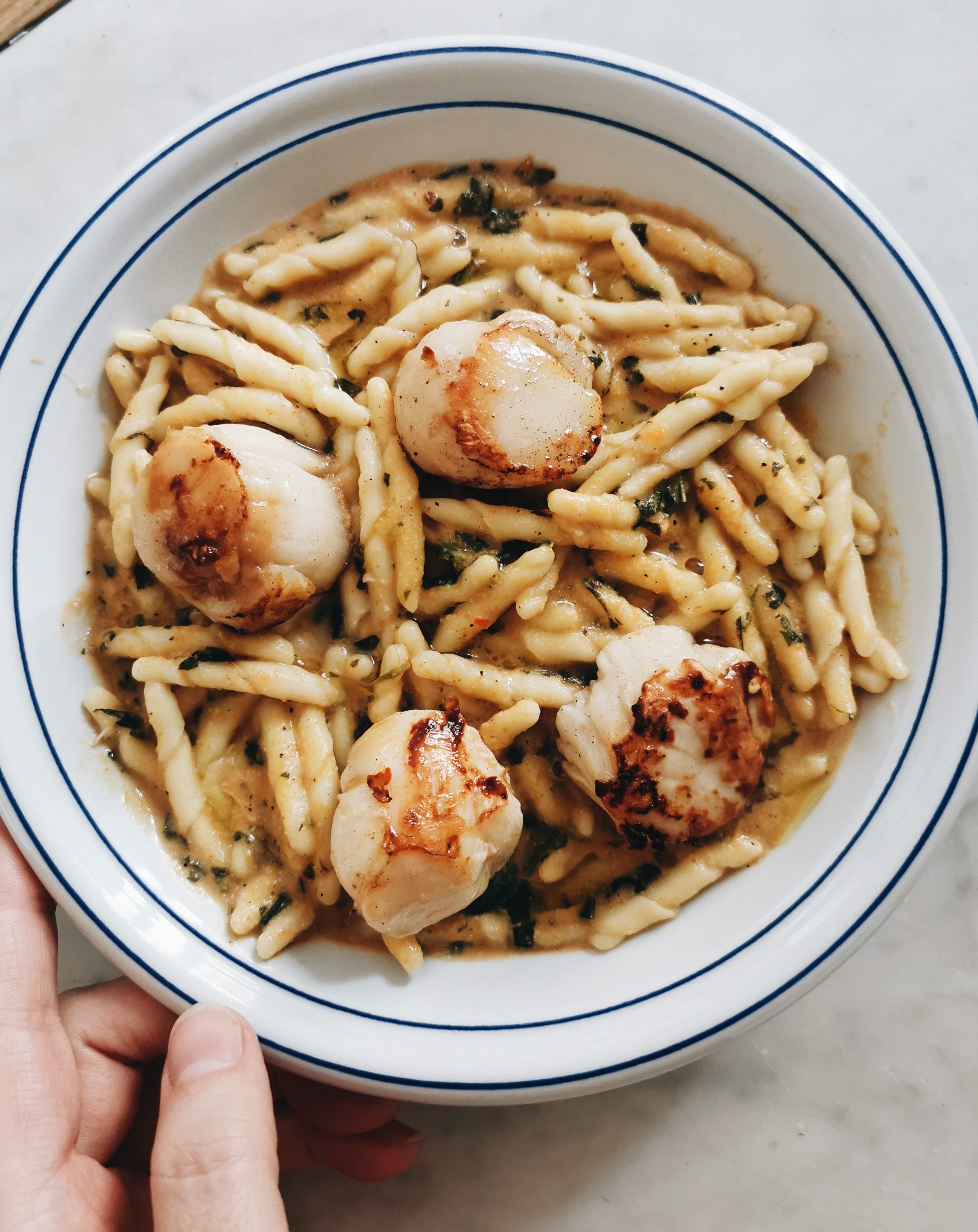 Marco's scallop pasta by Emiko Davies