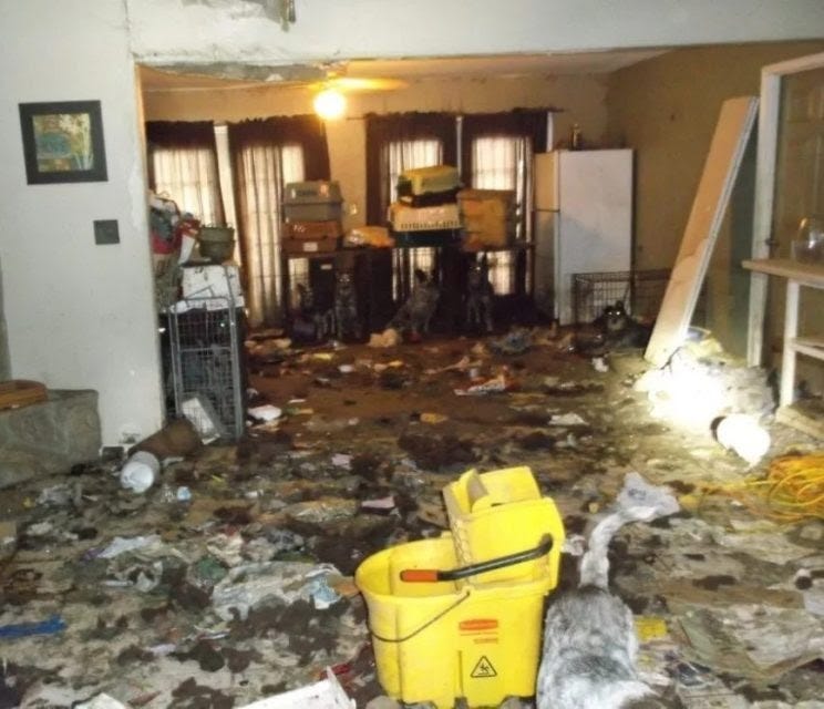 Is There a Great American Dog Shortage?