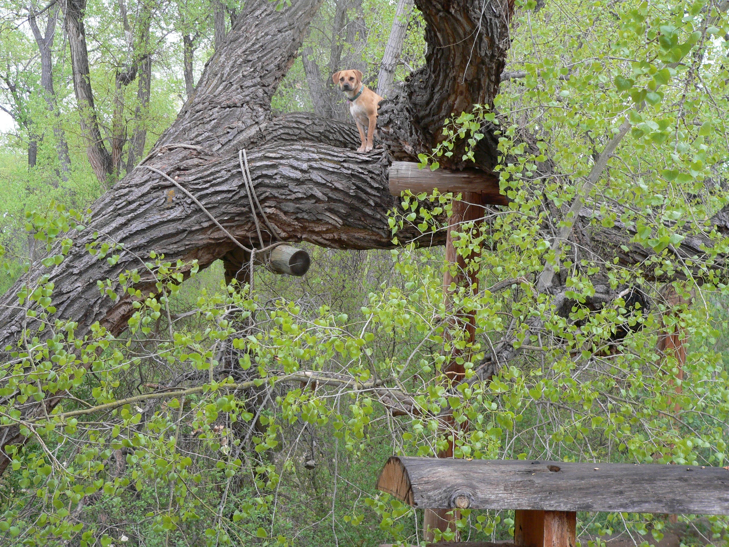 A Short (True) Story - by Jessica Rath