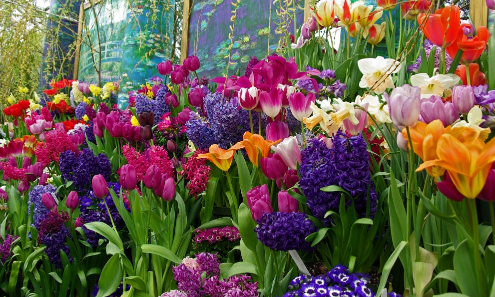 Bulbs for deals the garden