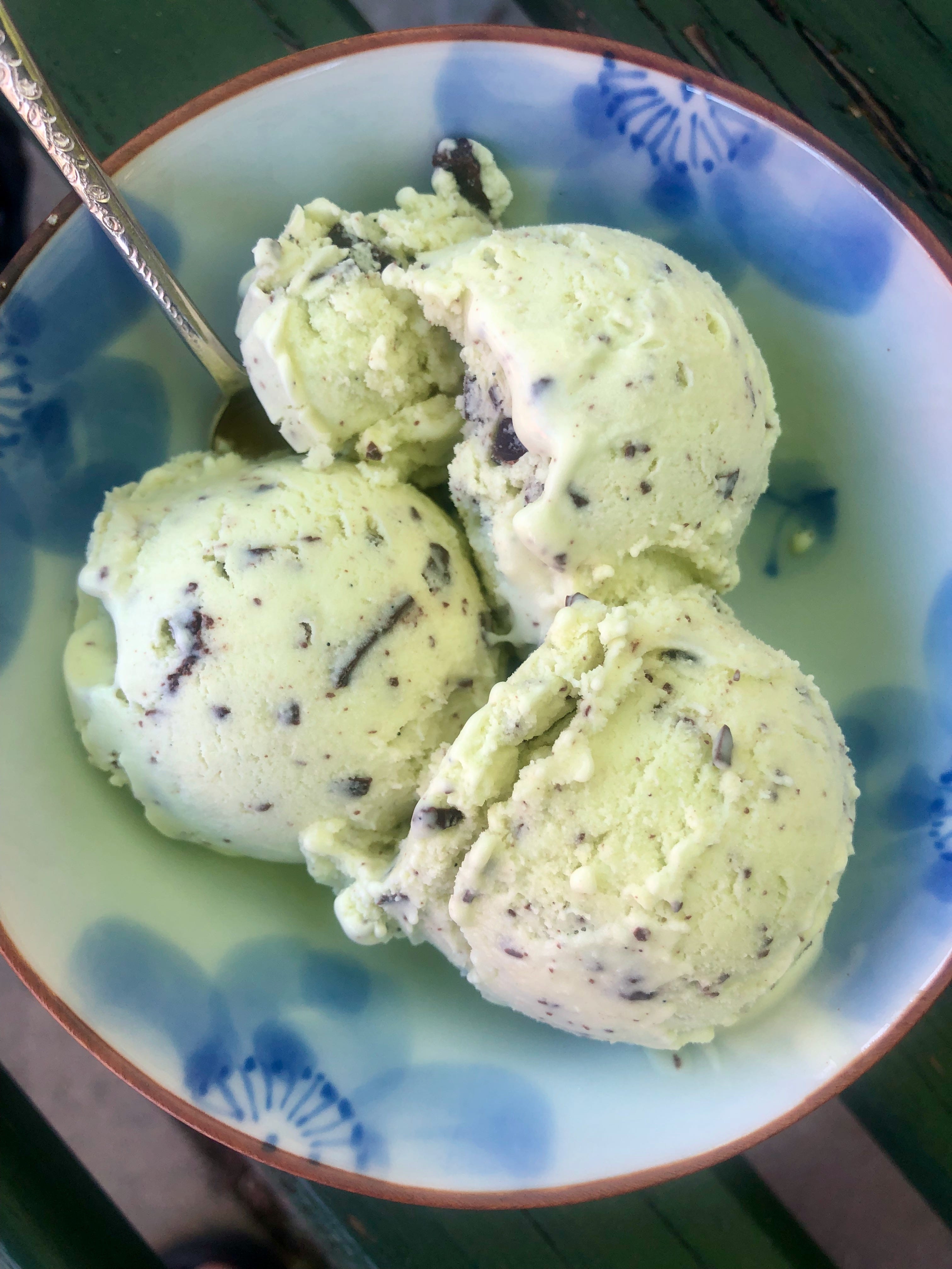 Donvier ice cream deals maker gelato recipes