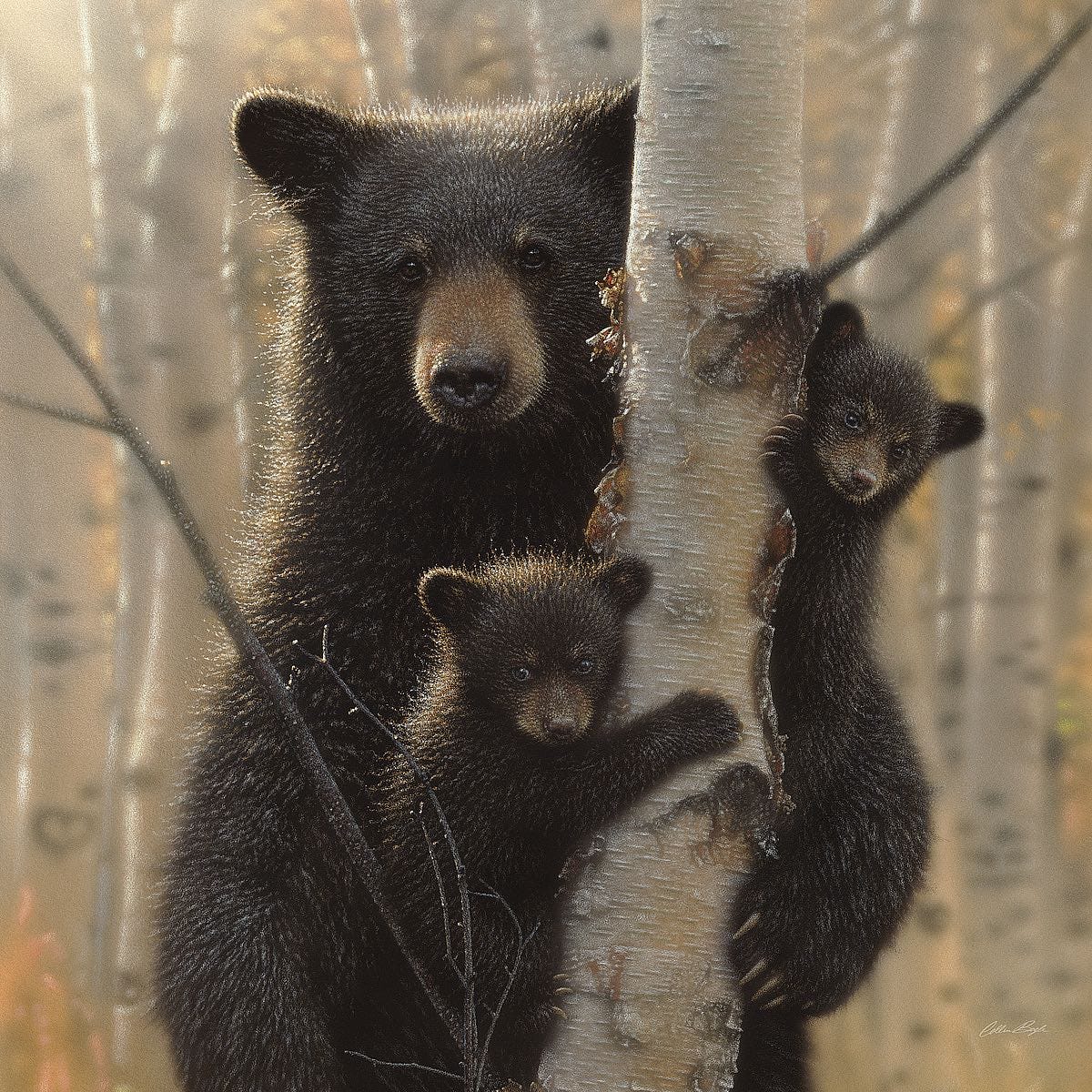 Mama bears gone wrong by Courtney Martin