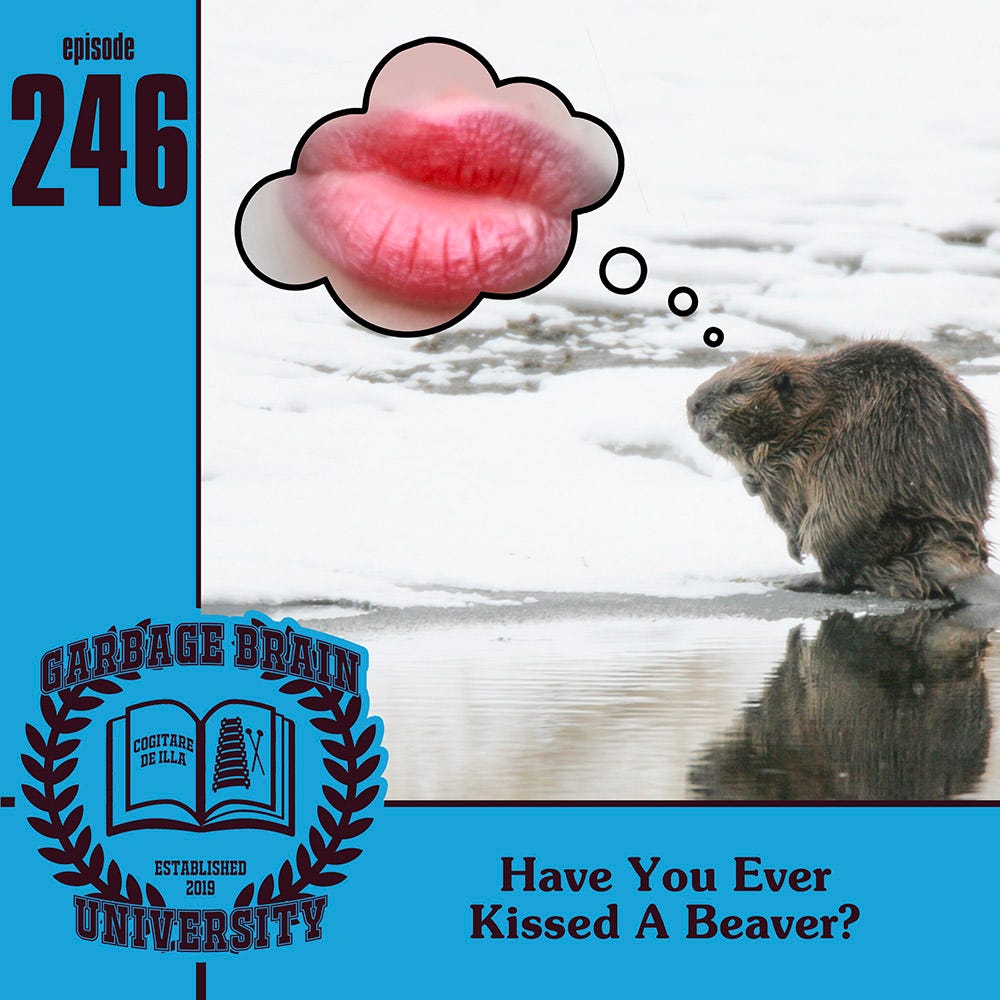 GBU 246 Have You Ever Kissed A Beaver?