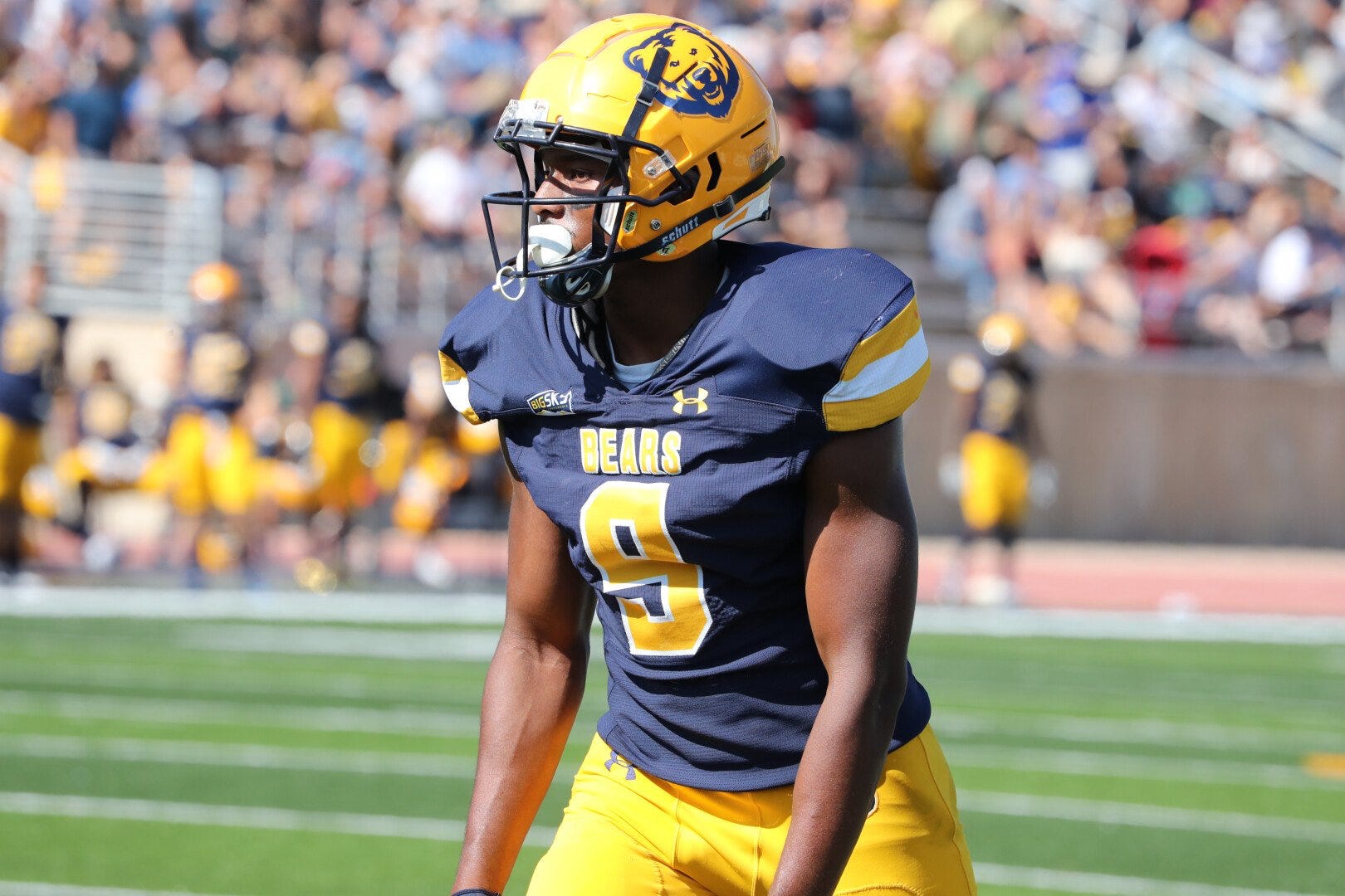 College football free online top