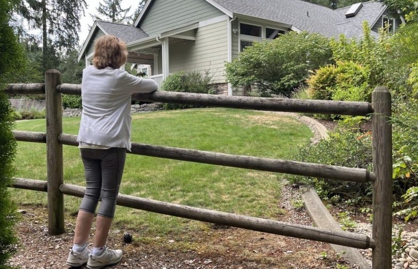 Walk In The Woods - by Janice Walton