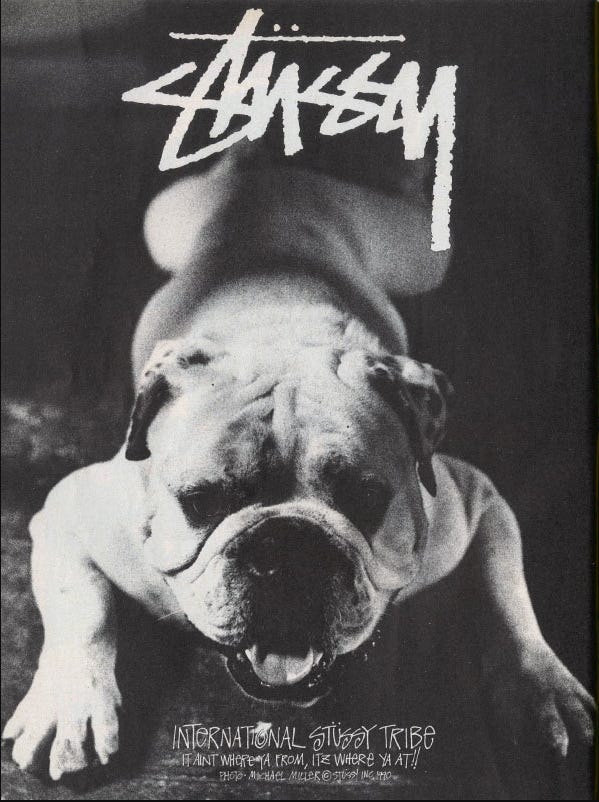 Stussy discount dog jacket