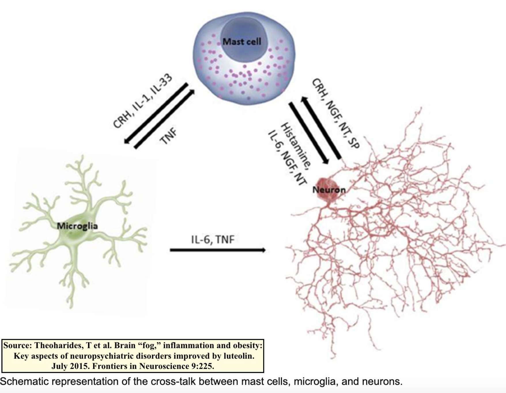 NasalCrom for Neuroinflammation? by LongCovidPharmD