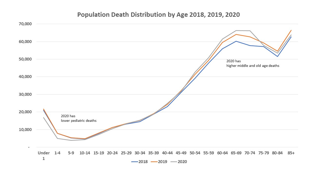 Philippines 2018 2020 Deaths by Ages by SuperSally888