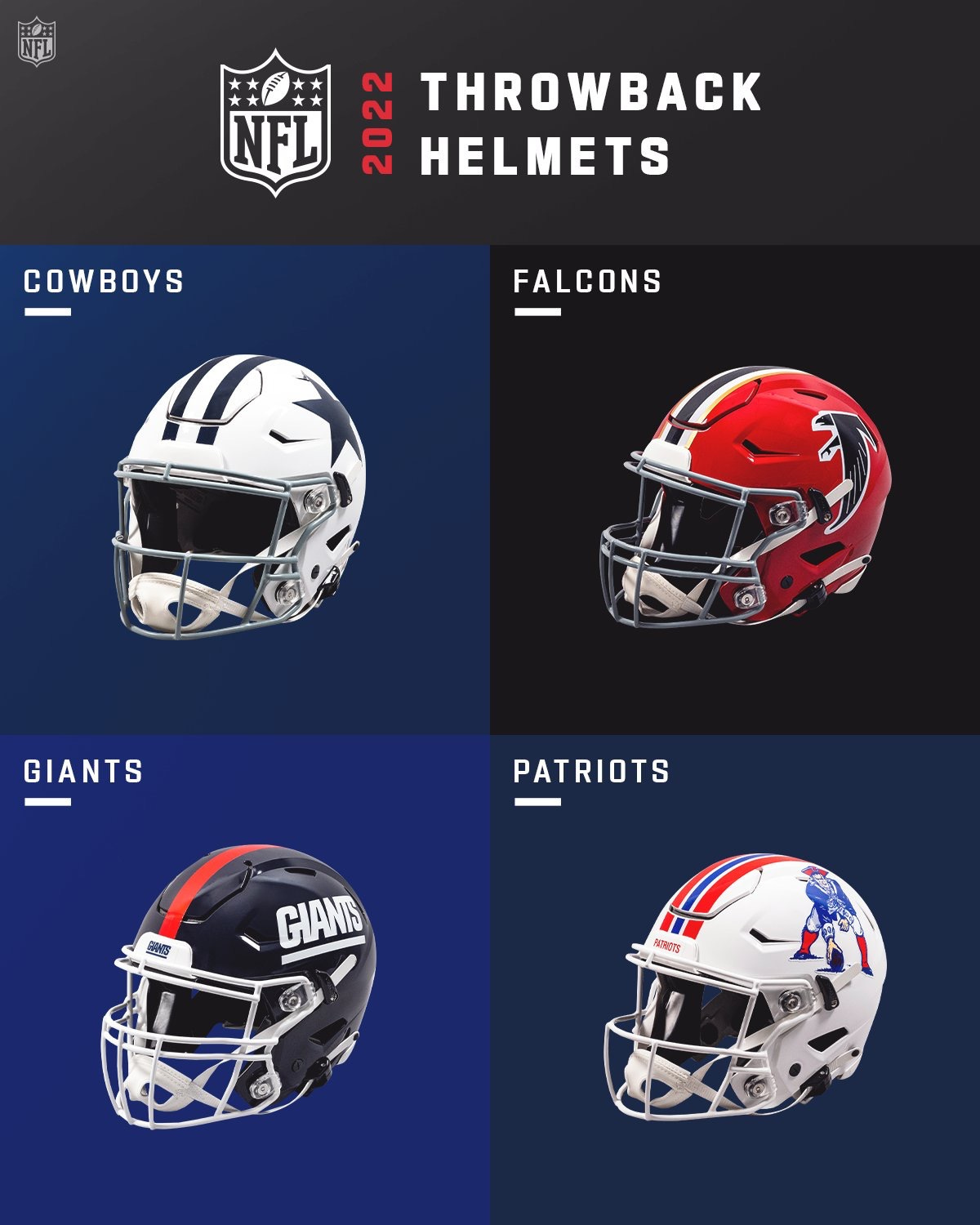 helmet. brain bucket. hard hat. Betting Antelope