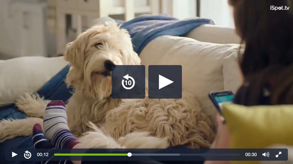 Petsmart grooming cost for small dog clearance