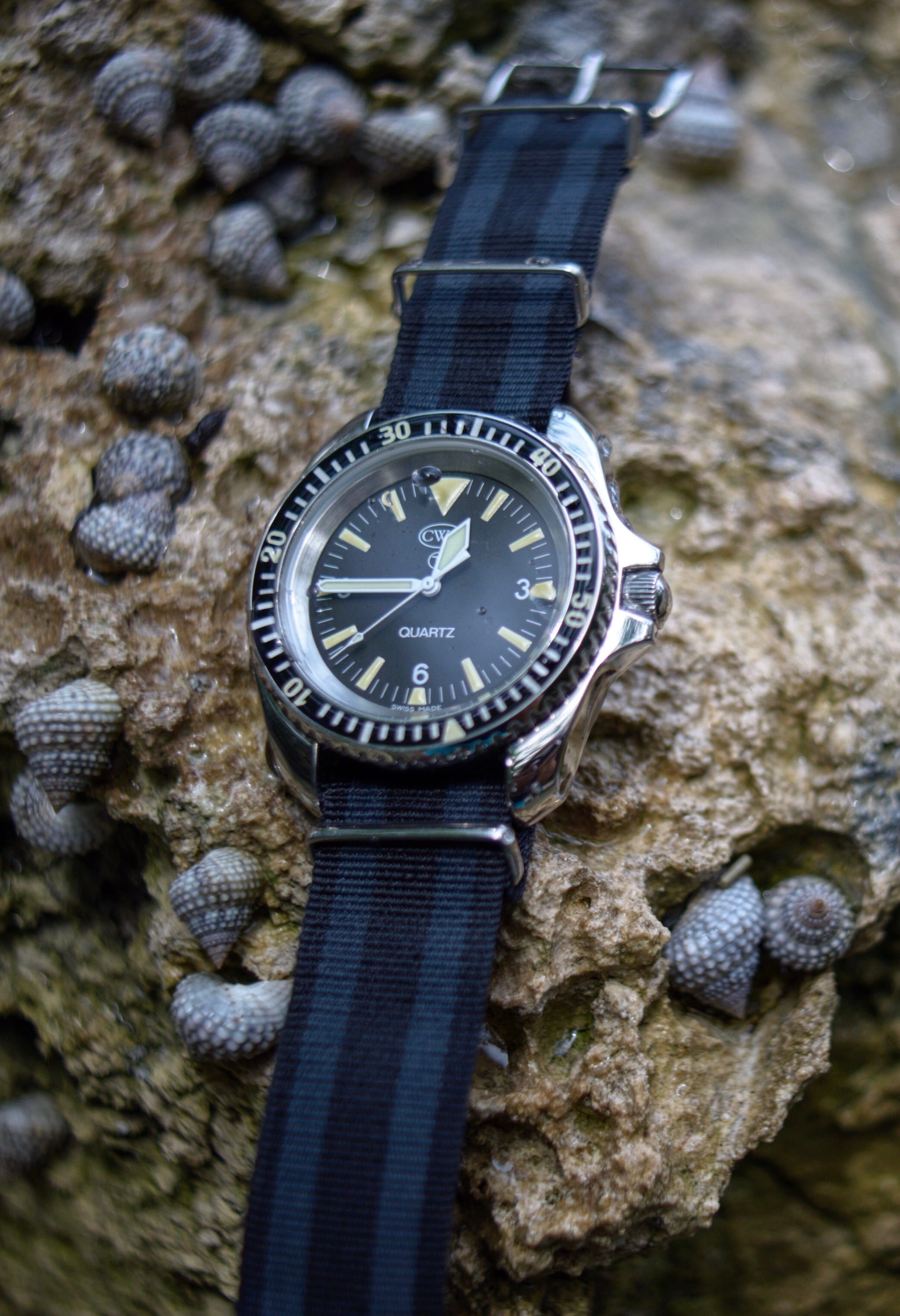 Dive watch cheap outlet