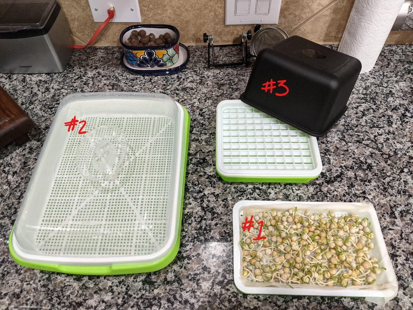 DIY Microgreens by Mathew Crawford