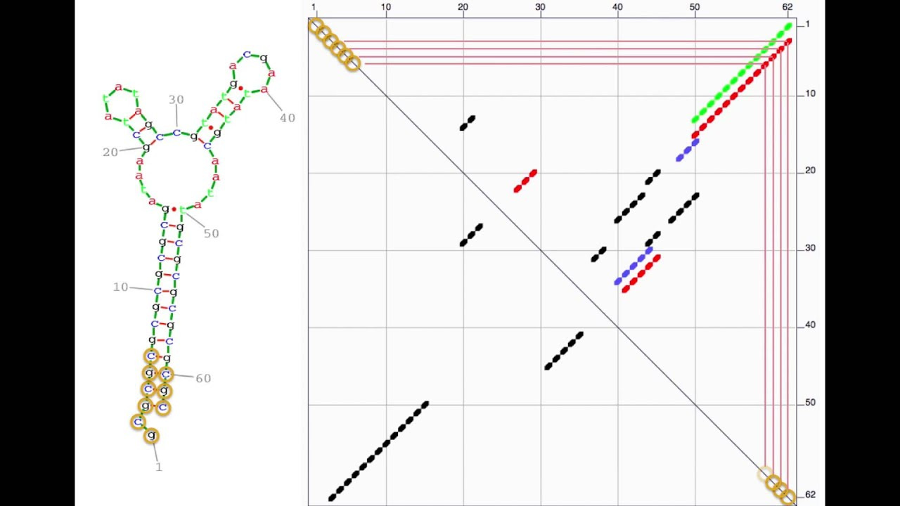 mRNA Folding Mechanisms and Approaches at the Secondary Structure Level