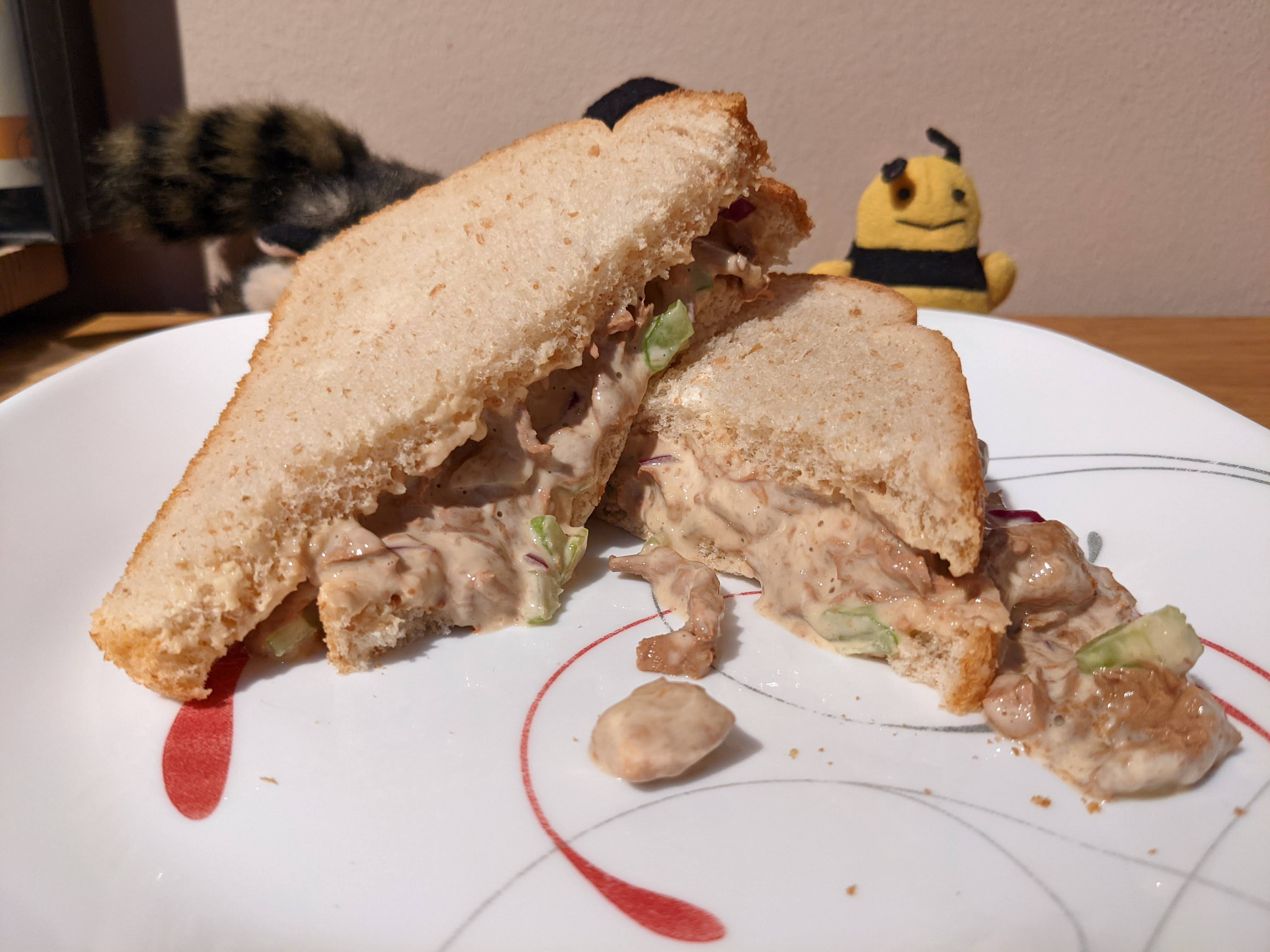 Can cats eat tuna salad clearance