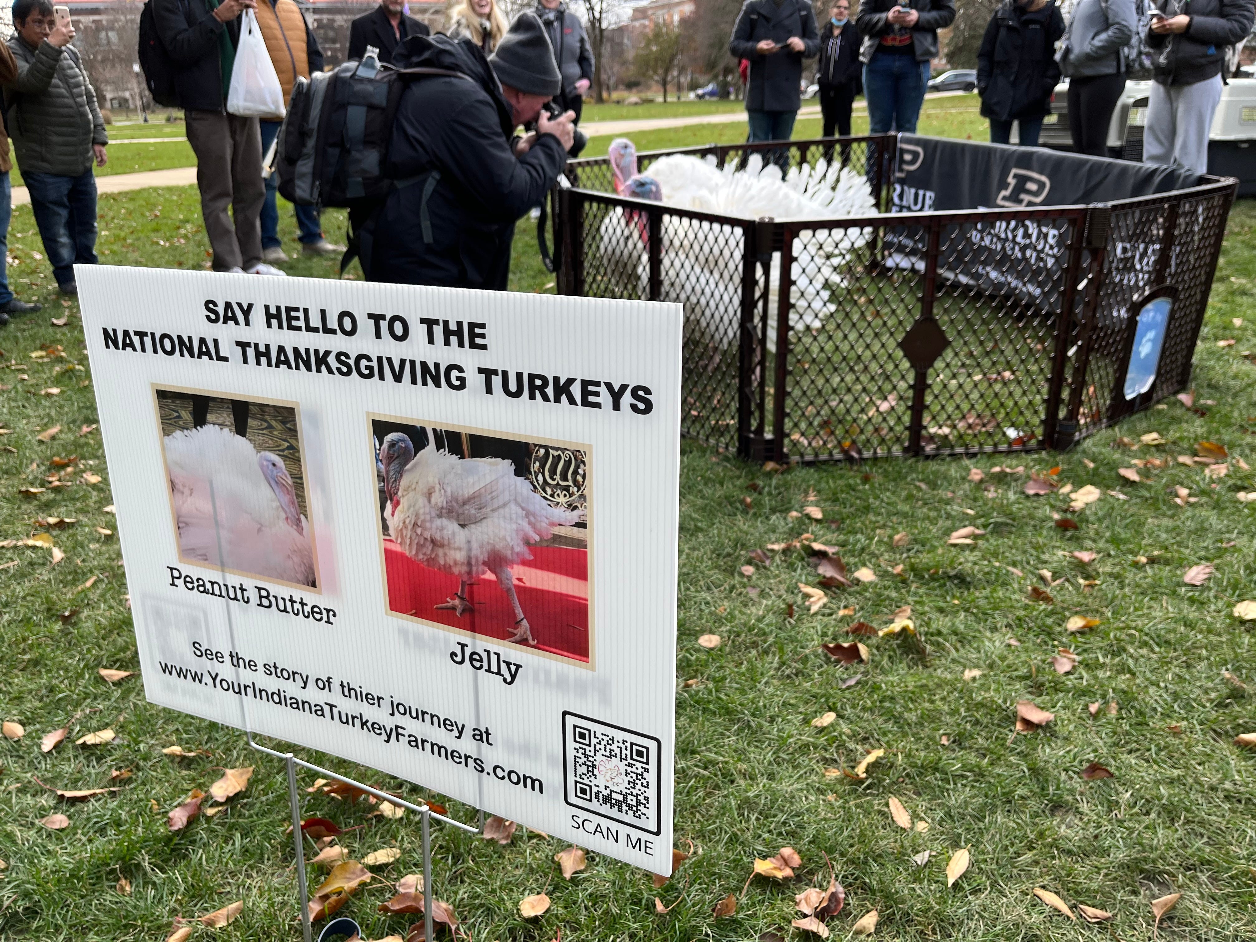 Purdue selfies with White House turkeys … because, why not?