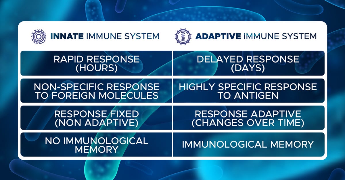 Immunology 101 Innate And Adaptive Immunity Explained