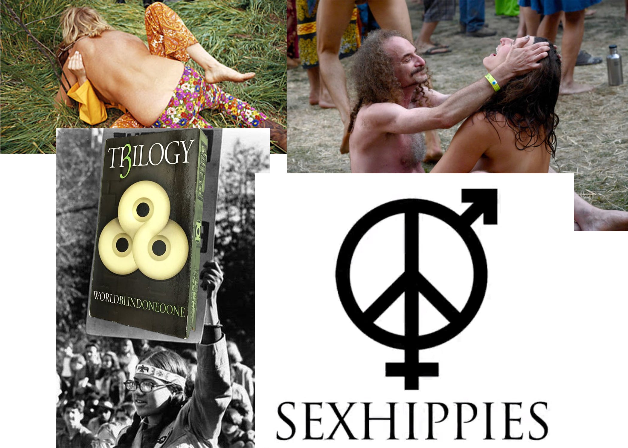 Who Are The Sex Hippies? - by Wes - Skatelier