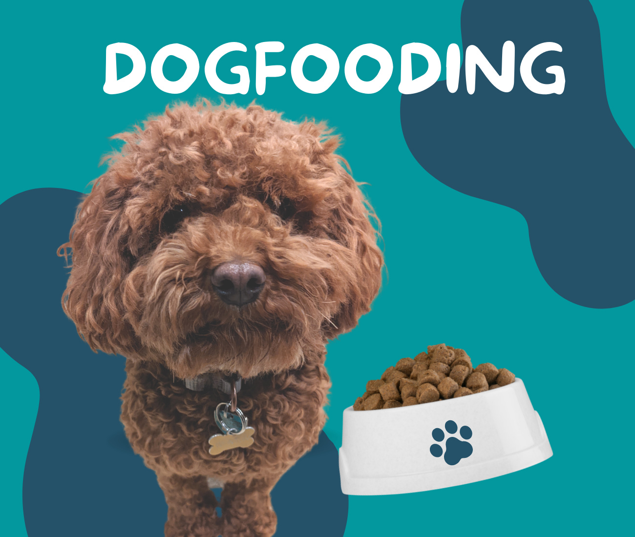 Dogfooding How Putting Yourself in the User s Shoes Changes the