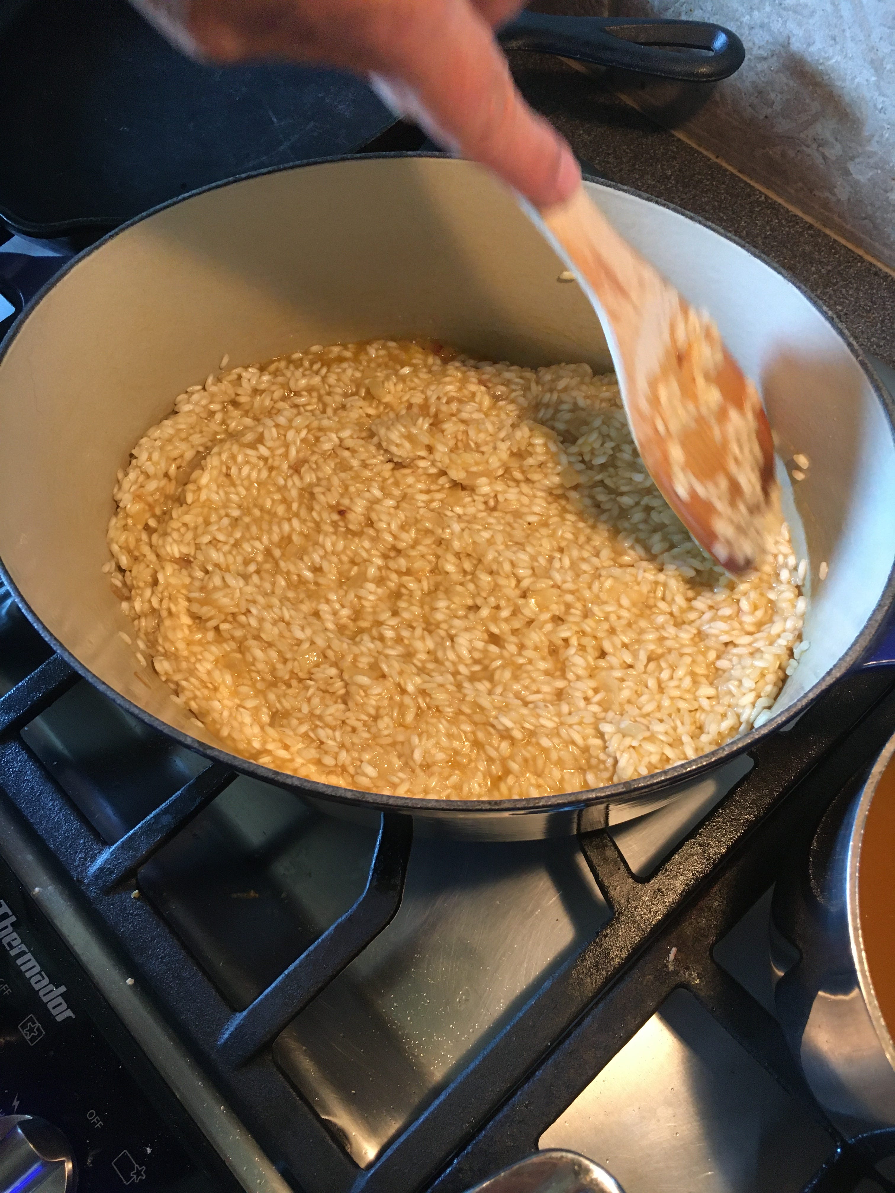 The arc of history bends toward risotto - by Clea Wurster