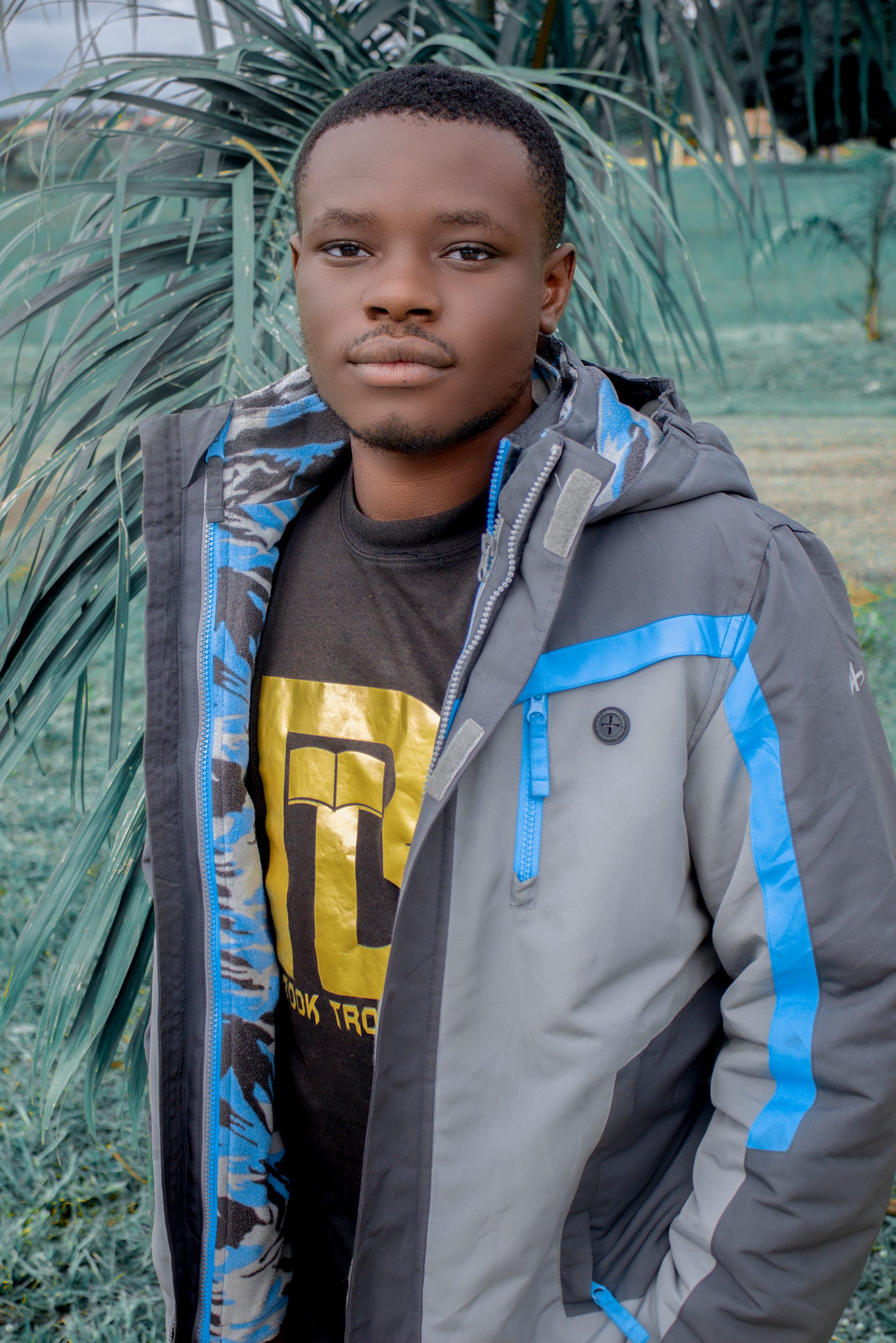Name Dashan Name Dashan