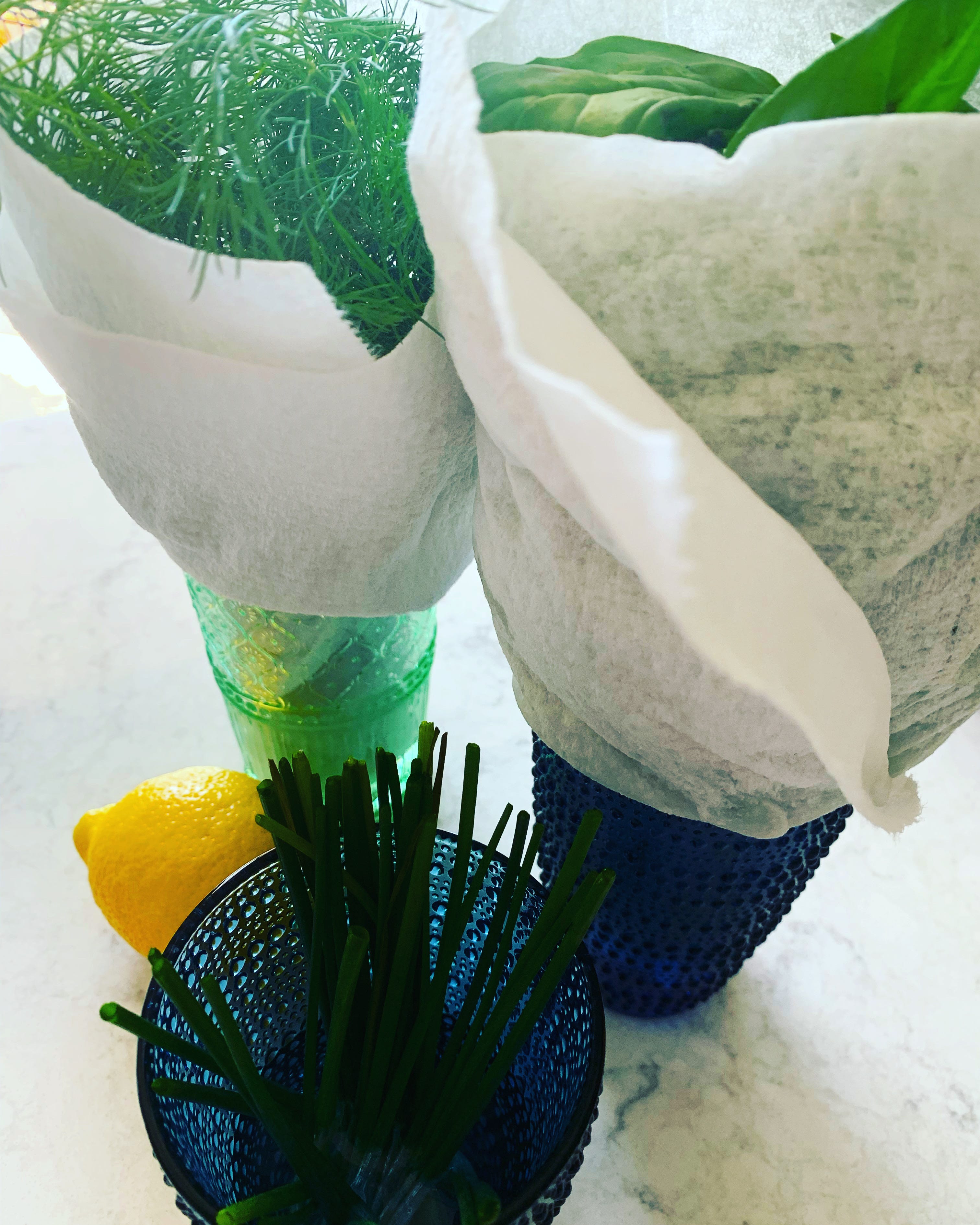 Spring Has Sprung, The Grass Has Riz by emily nunn