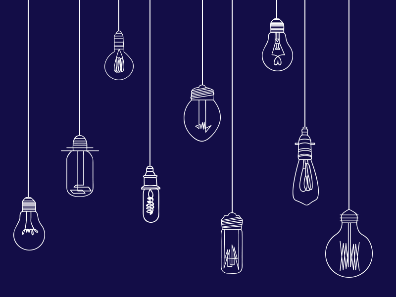 Evolution of Bulbs by Disha Patel Converse to Conserve