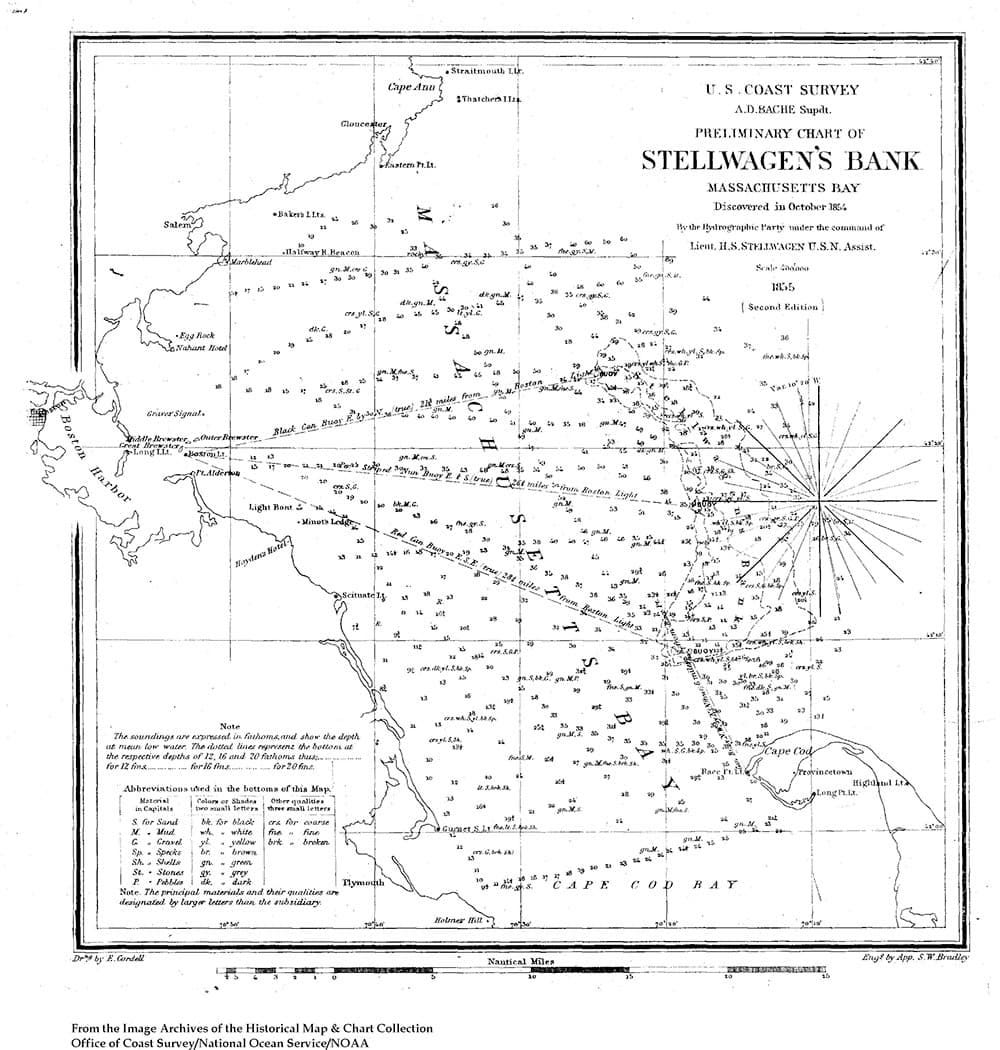 Why the Bank is called Stellwagen by Seth Rolbein