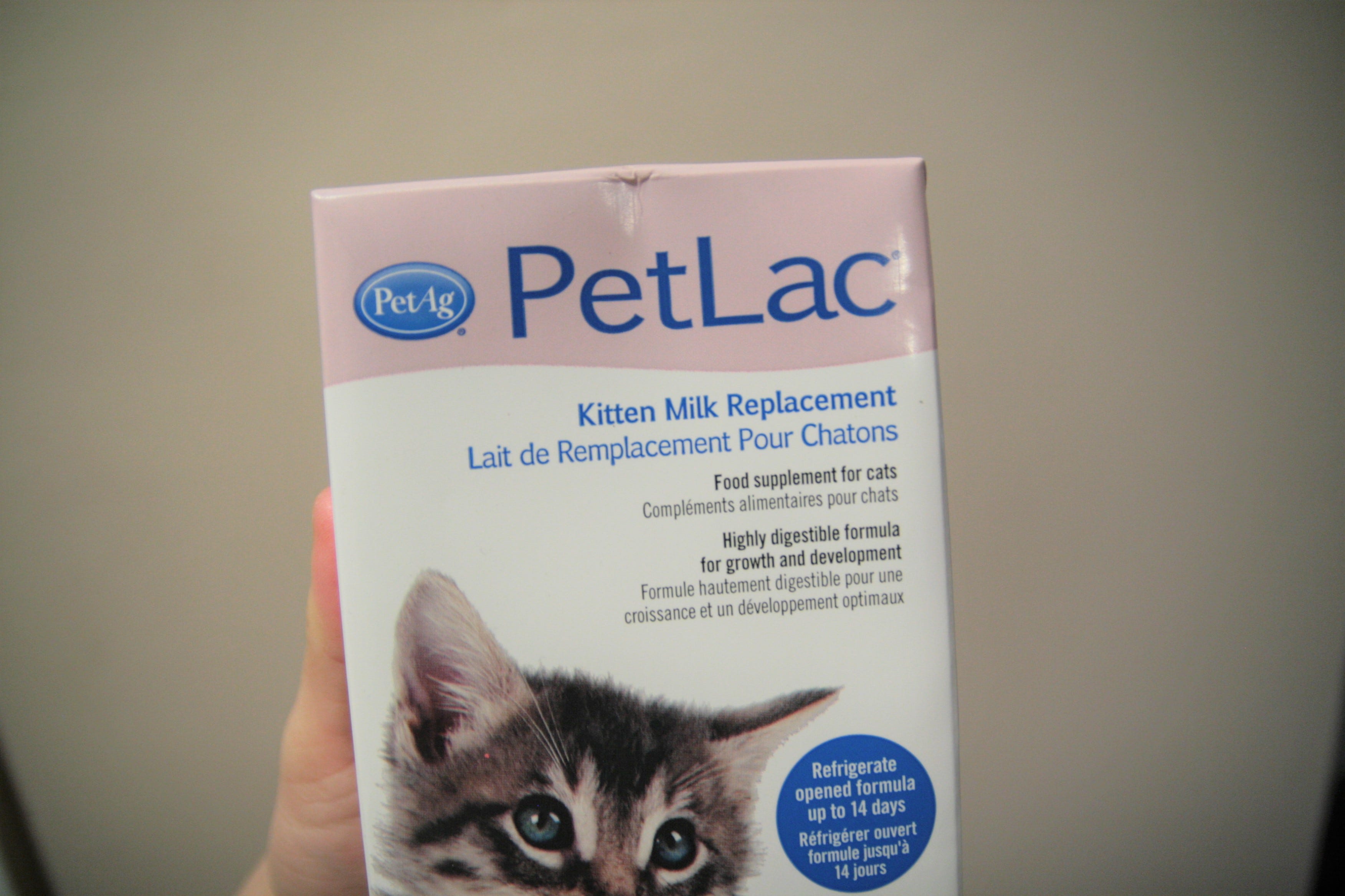 Evaporated milk top kitten formula