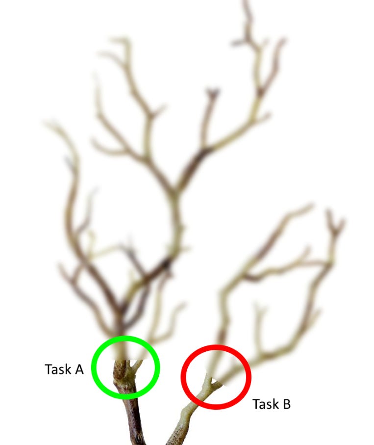 Prioritization of tasks by the greatest branching potential