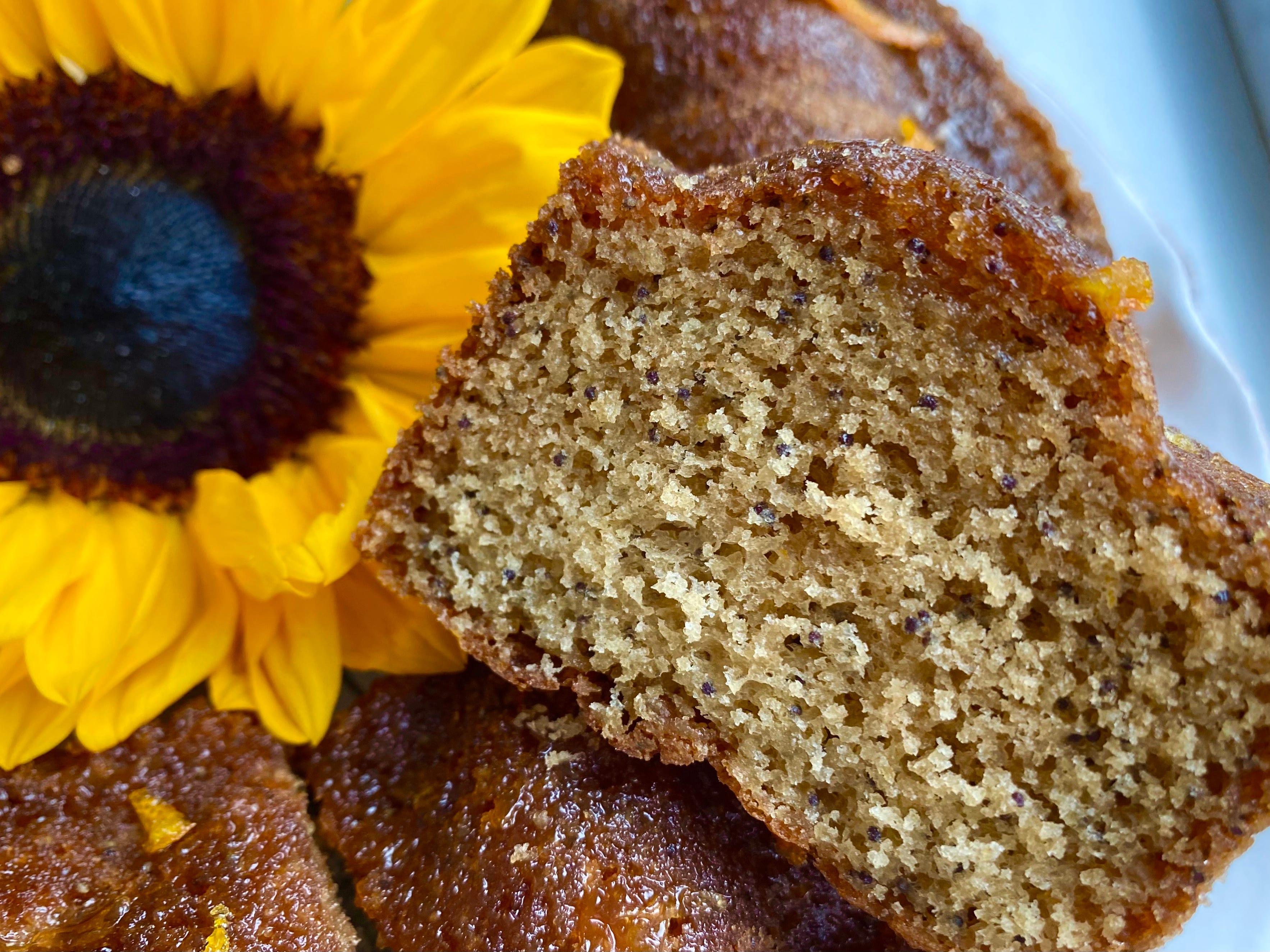 Ukrainian Honey Poppy Seed Cake