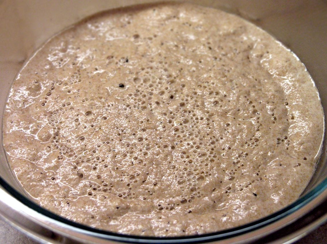 Recipe How to make and keep a bread starter