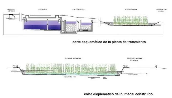 #11 Humedales construidos para la depuración de aguas residuales