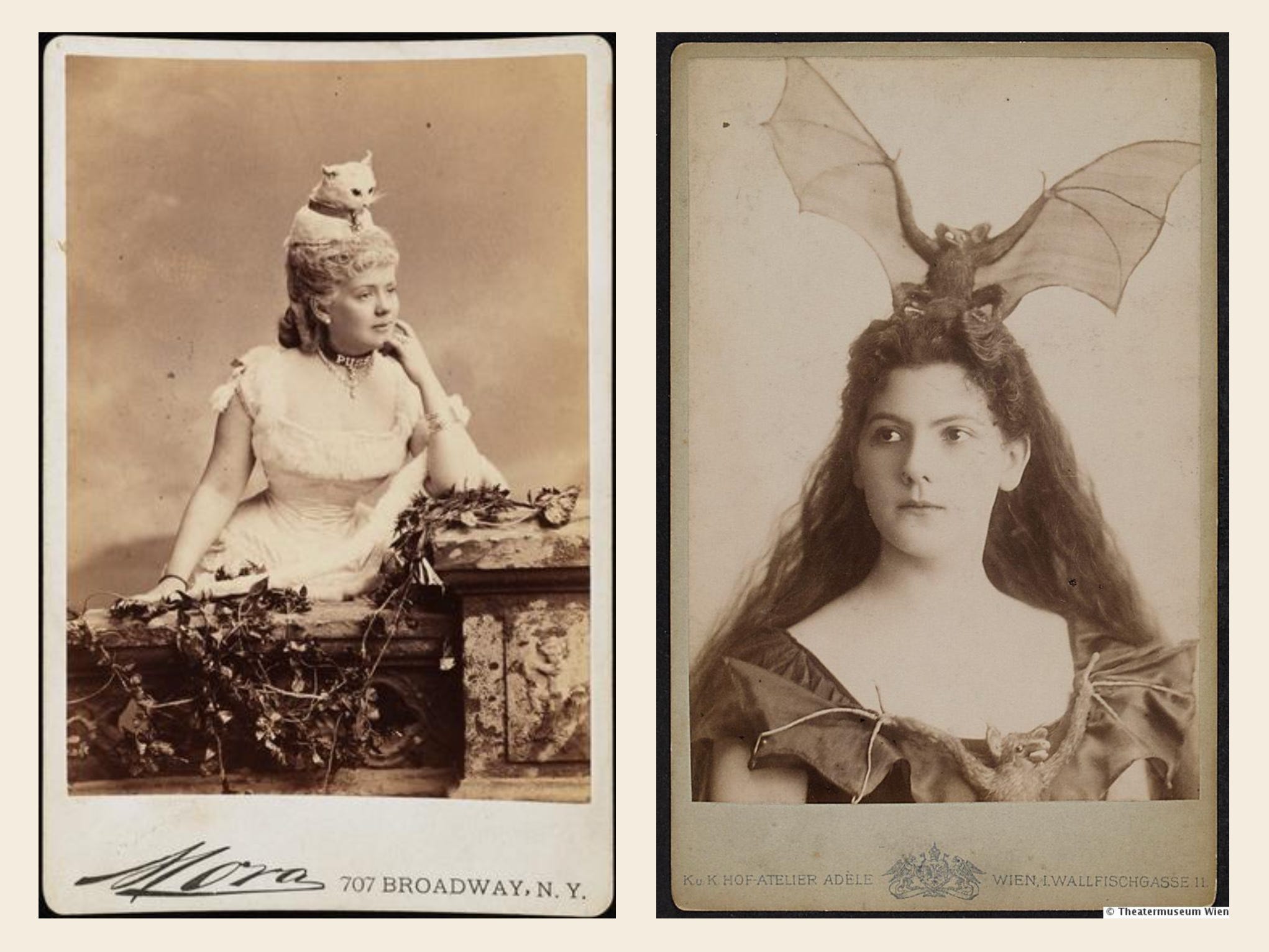 Victorian Taxidermy Hats (c 1883) by Peter Pappas