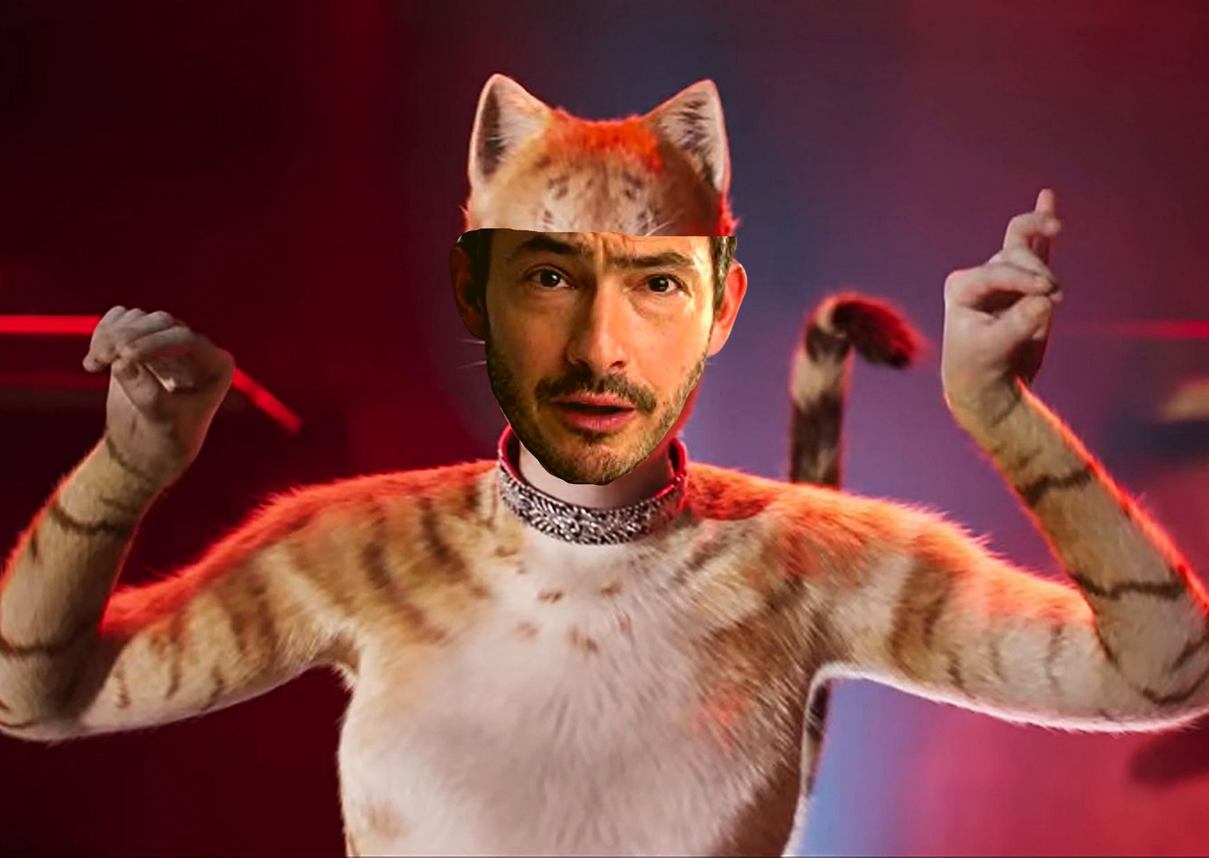 Feline familiar Giles Coren's cat and the laziness of the long