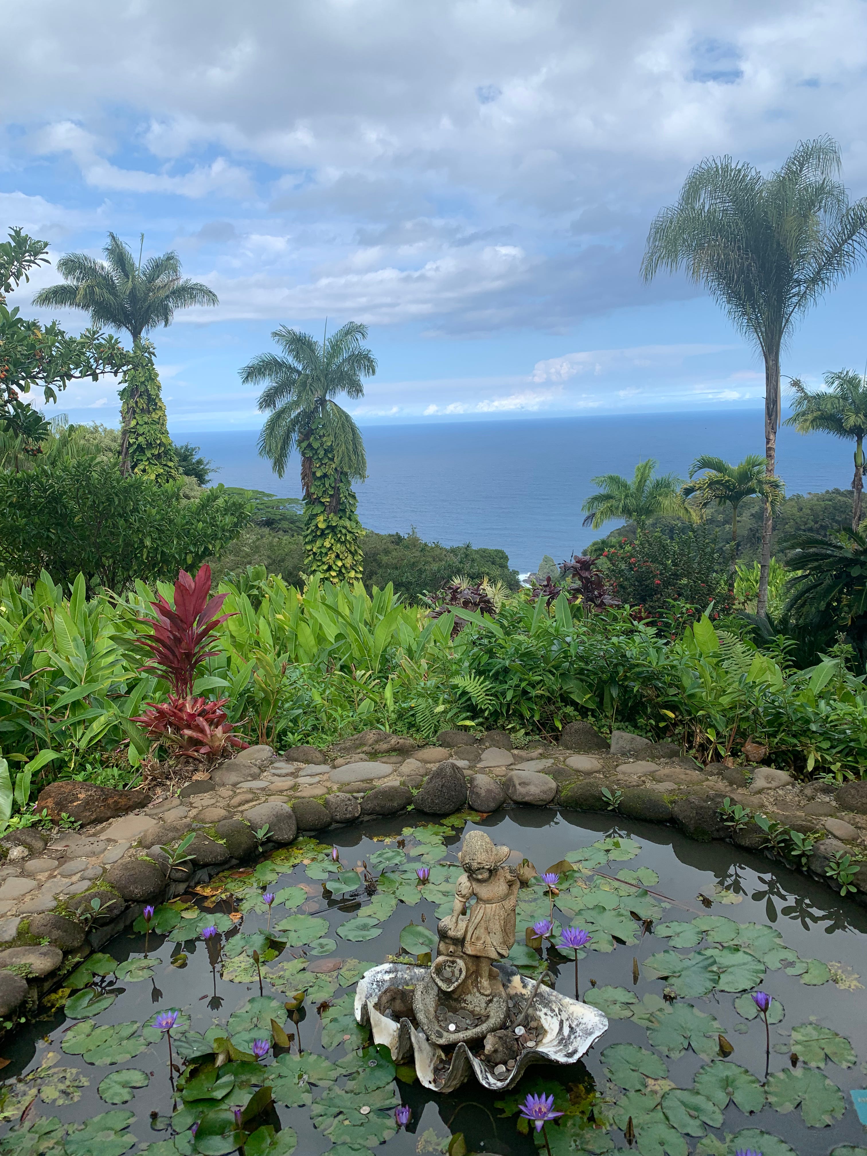 Hawaii Poems: Garden of Eden, Jungle, Lava Palm, A New Earth