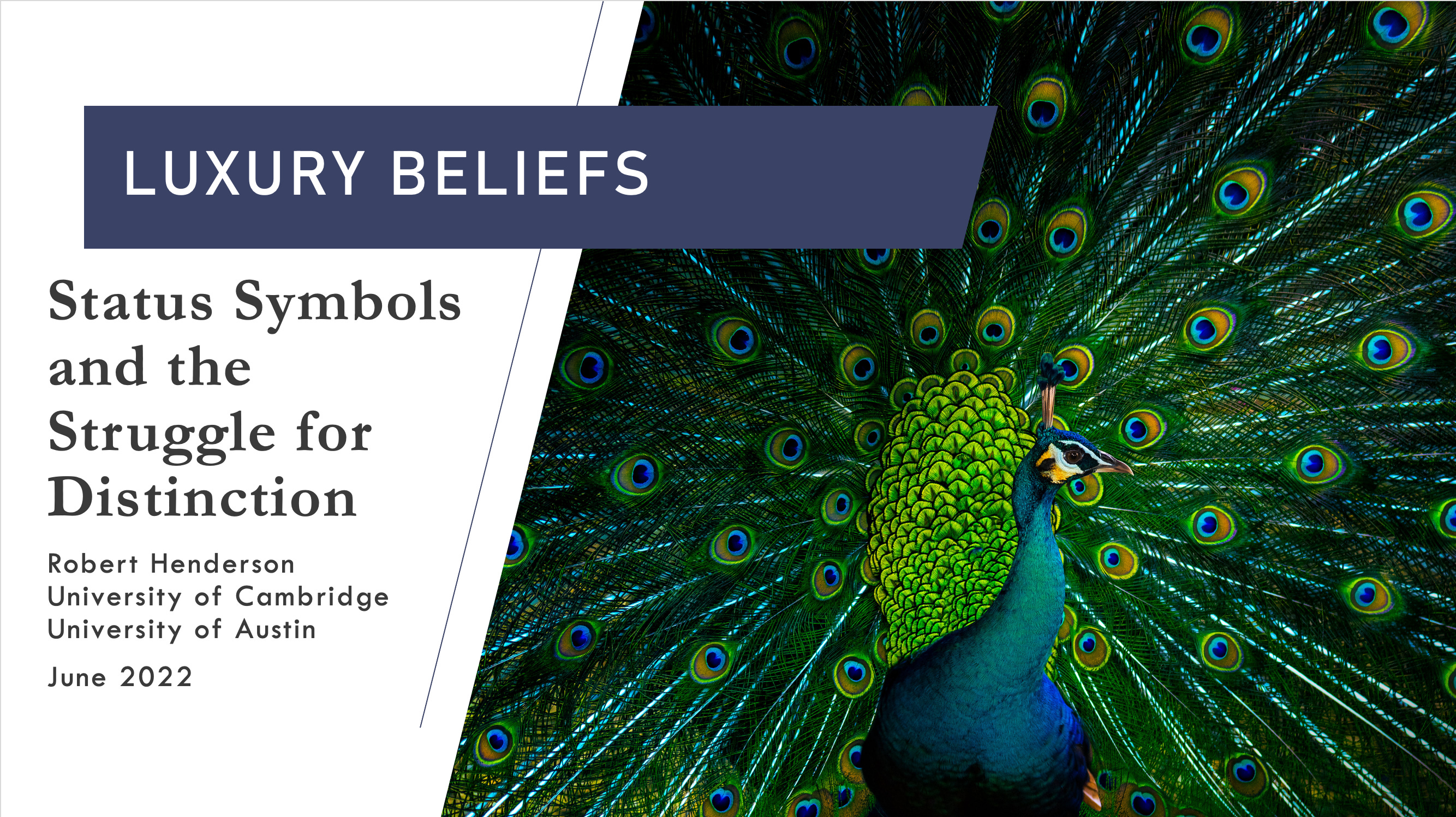 Luxury Beliefs are Status Symbols