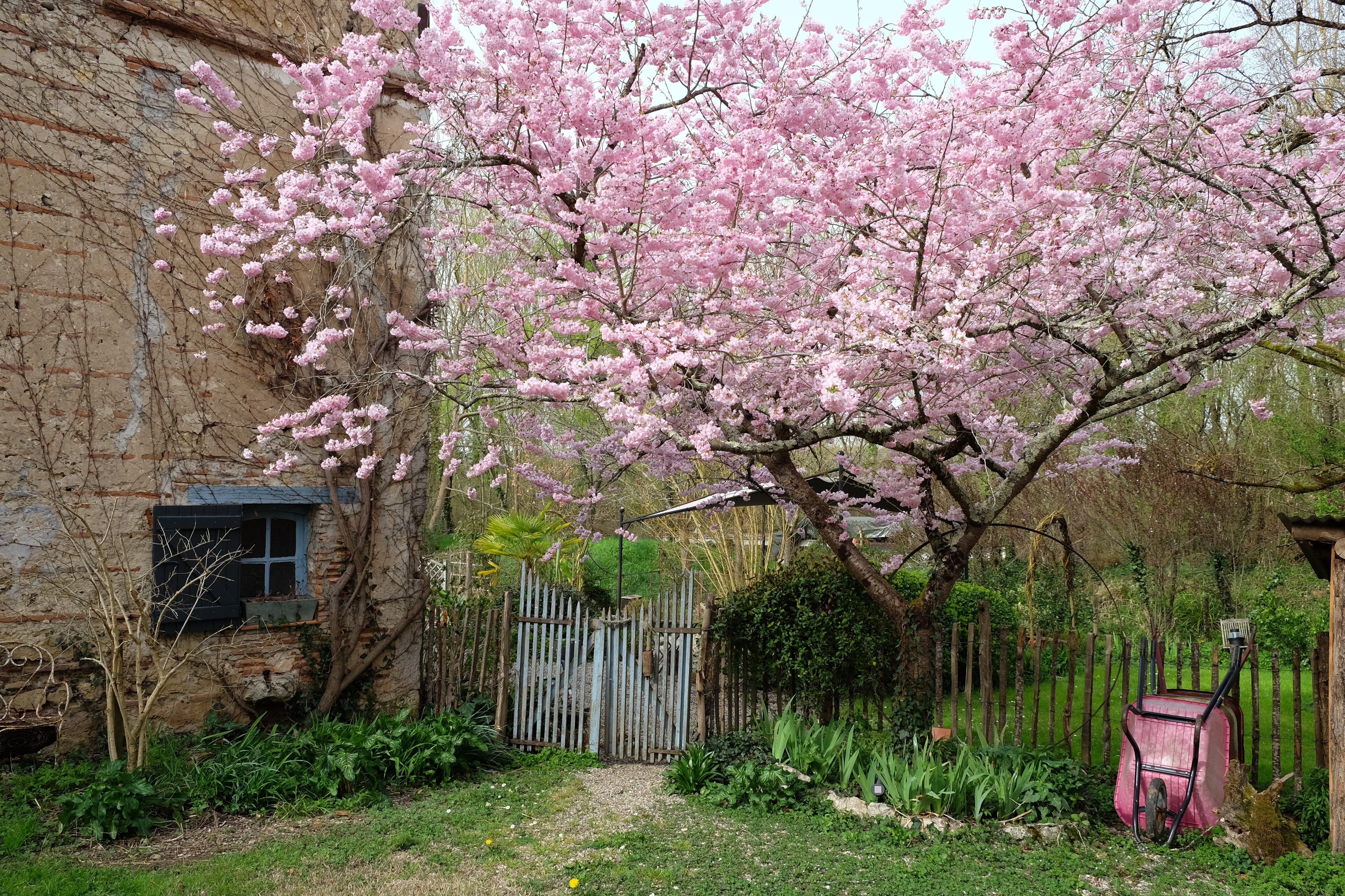Trying on Spring one tart at a time