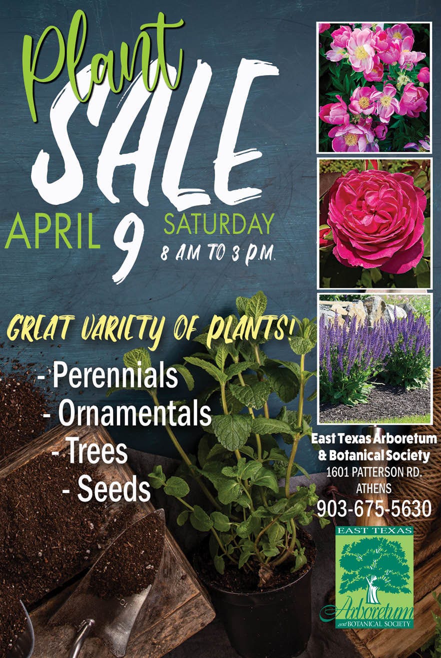 Arboretum Plant Sale This Saturday!