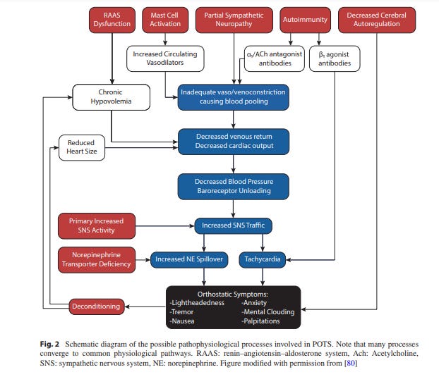Pots System Chapter: Pathophysiology & Classifcation of PoTS (2021) pt IV: MCAS ...