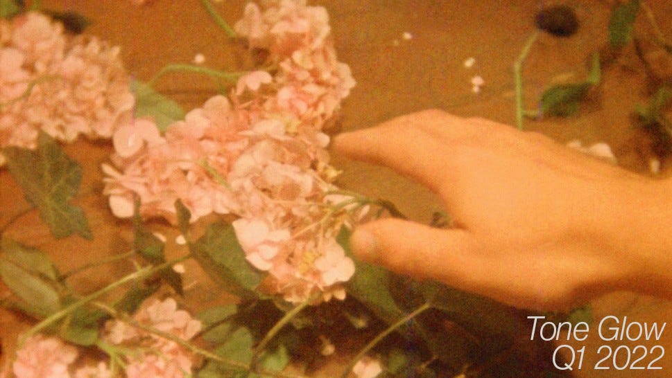 I Am Flower Quickly Fading Chords Best Flower Site