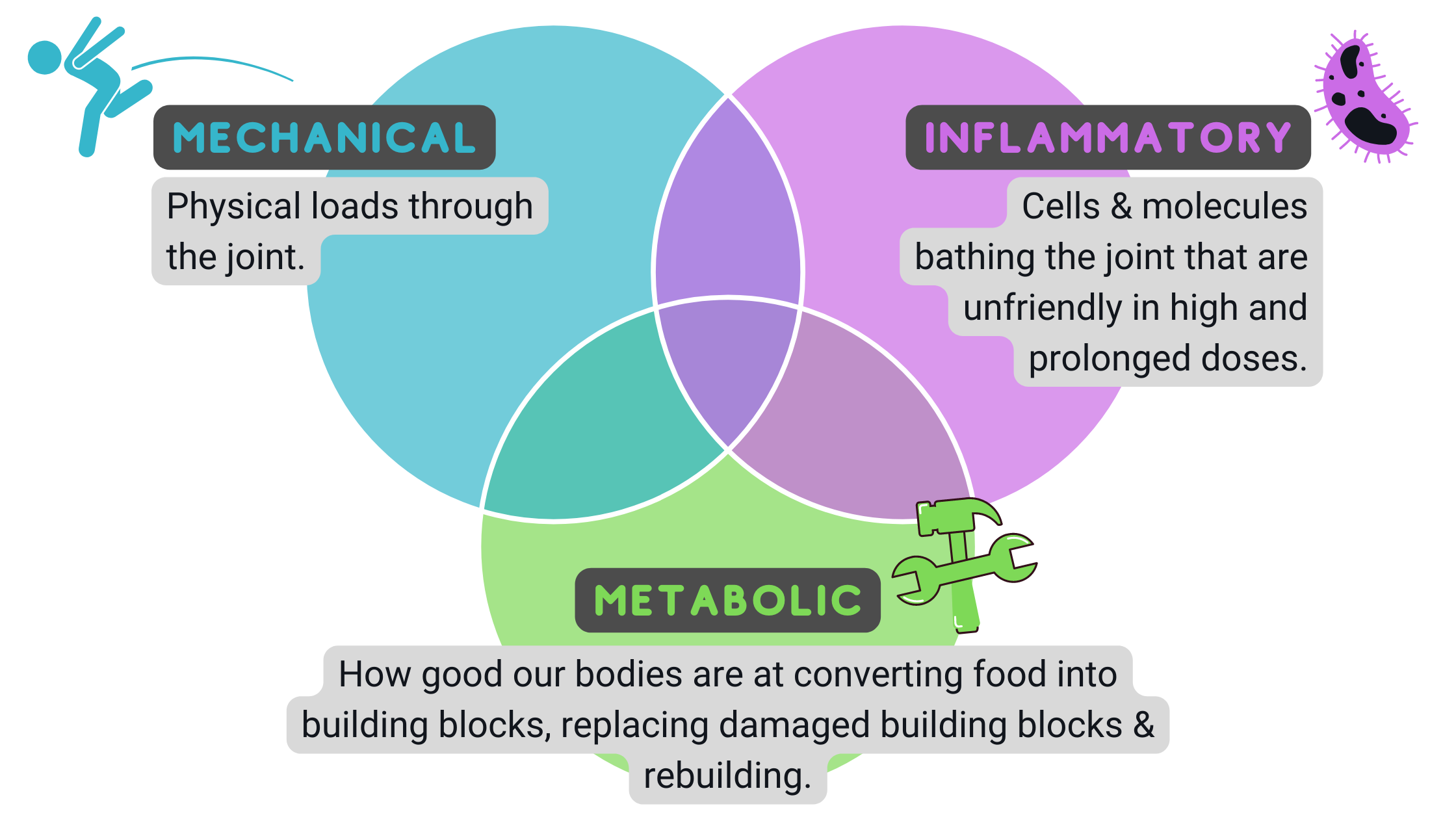5 Key Things You Need to Know to Understand Osteoarthritis