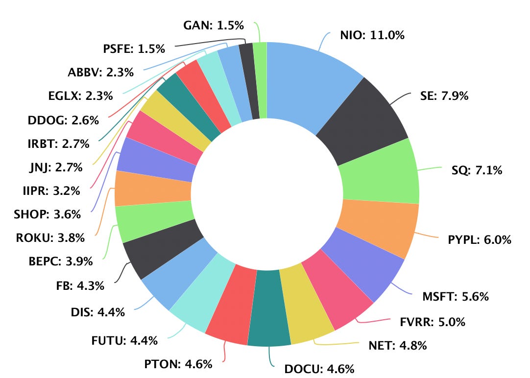 Monthly Portfolio Review - June 2021