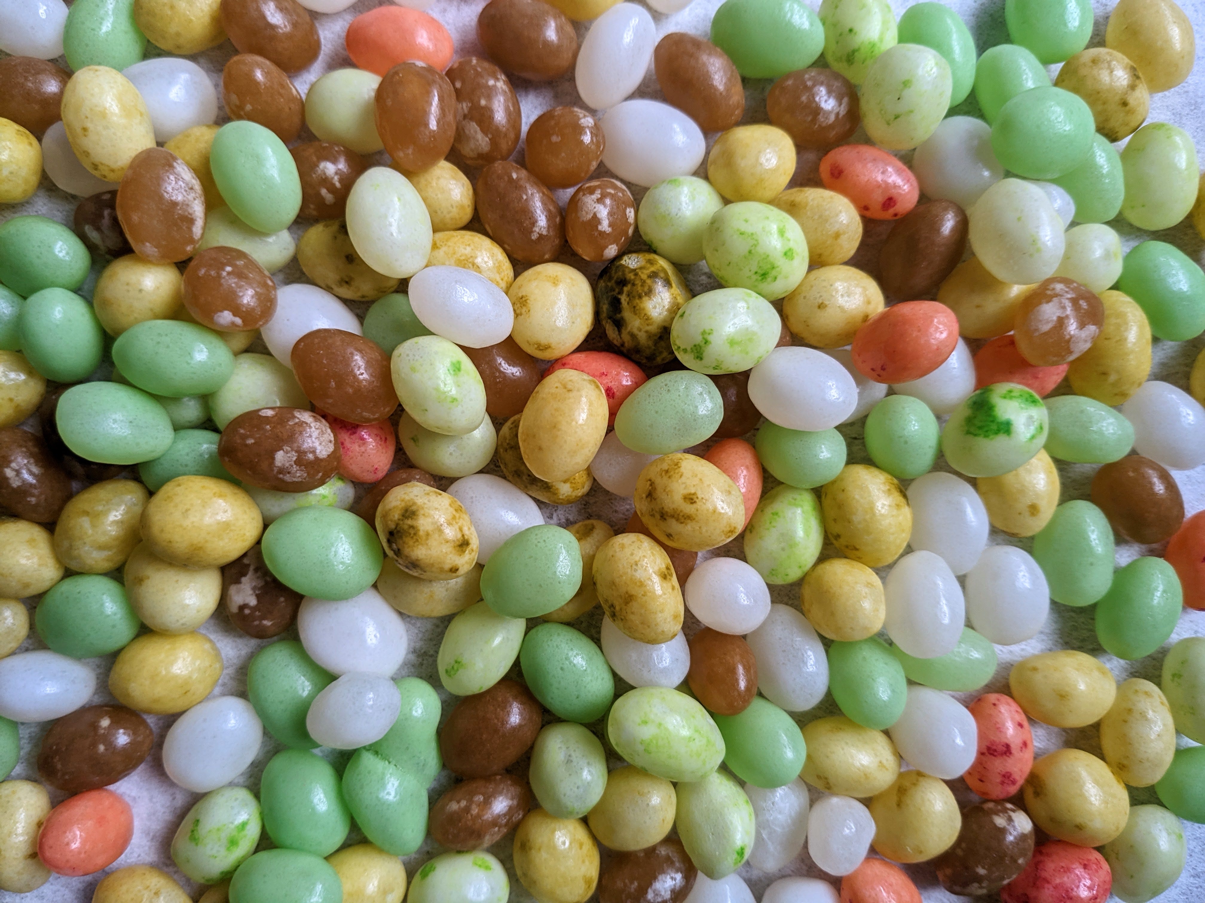 I Ate the Beef Taco Jelly Beans by Megan Seling