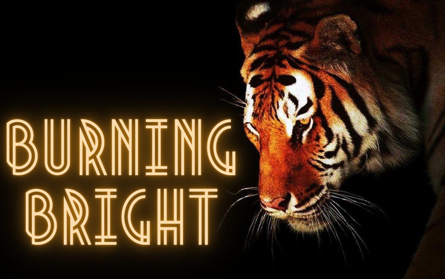 About Burning Bright