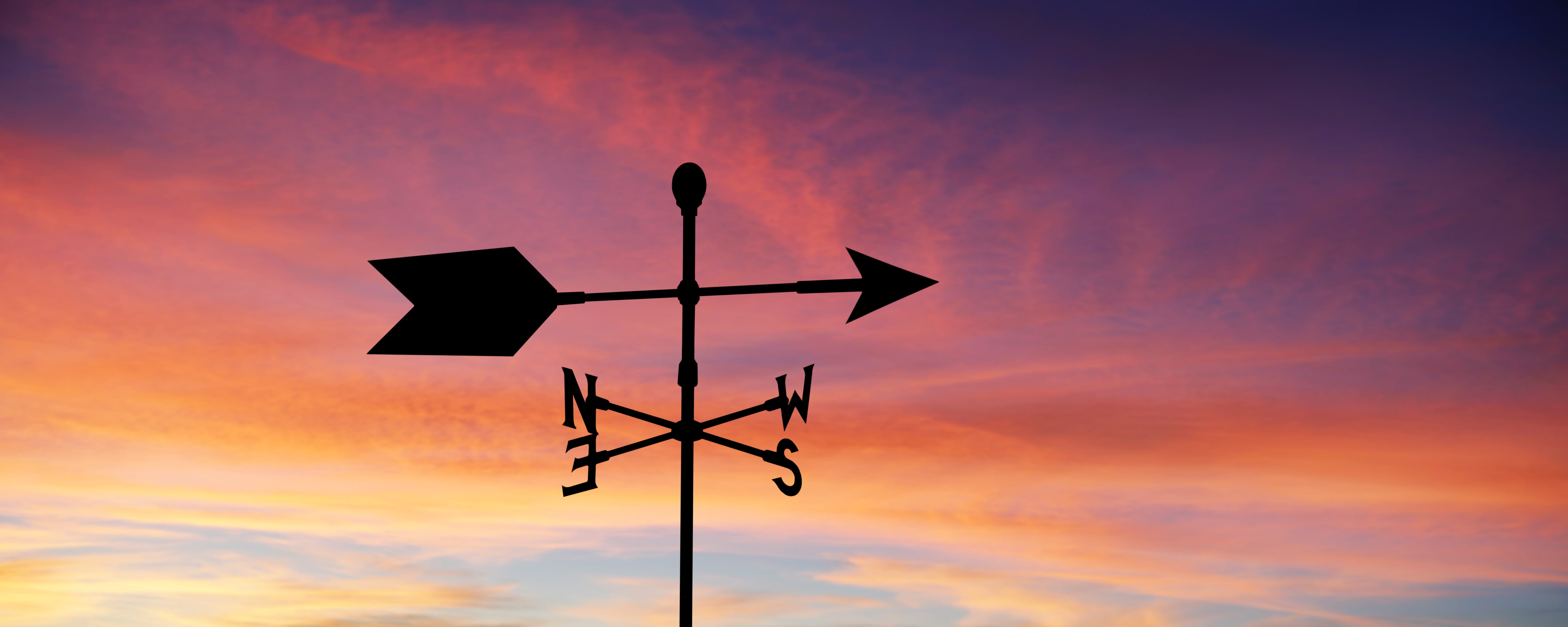 The Wind Blows in All Directions