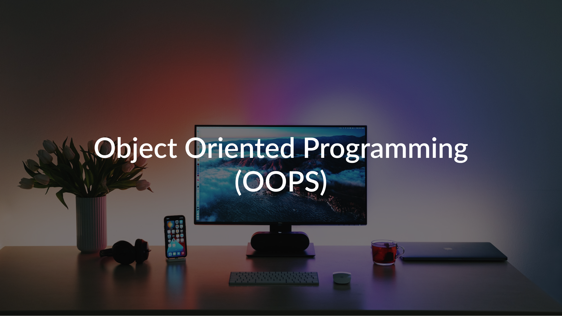 Object Oriented Programming : A Breakdown for Beginner's.