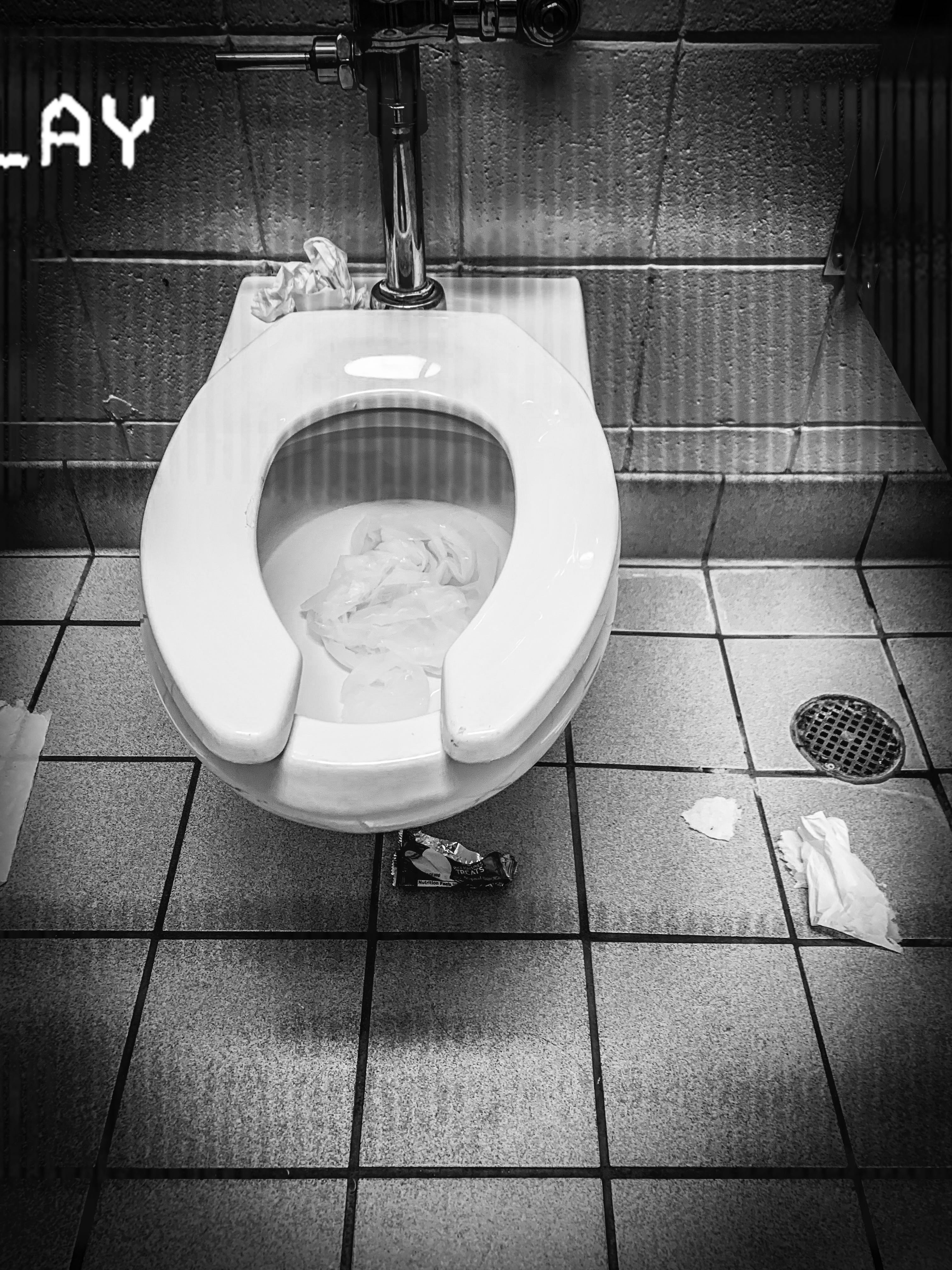 My Toilet Exploded by Rachel Gates