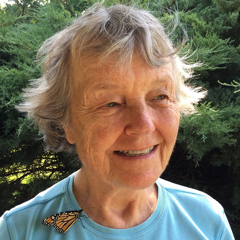 Diane Porter | Substack